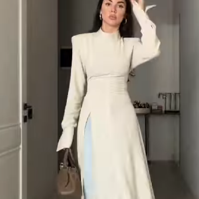 فستان نسائي أنيق طويل الأكمام  - مراجعة Women'S Elegant Formal Wear وسعره