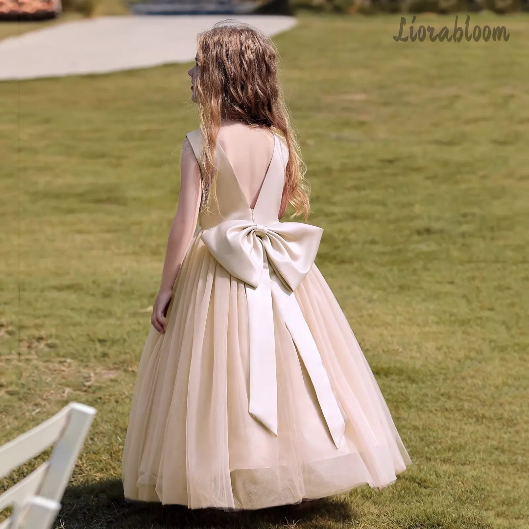 فستان أميرة متعدد الألوان بدون - مراجعة Women'S Elegant Formal Wear وسعره